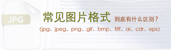 常見的圖片格式到底有什么區別？